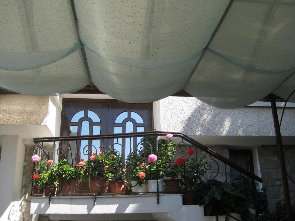 Къща За Гости Мариана Sozopol Ngoại thất bức ảnh
